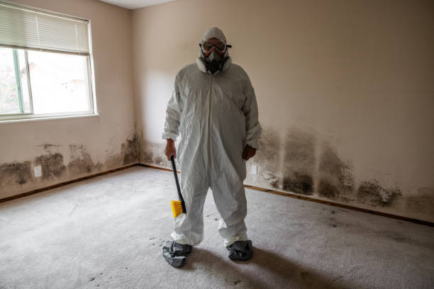 Best Mold Testing and Inspection Services in Nelsonville, OH